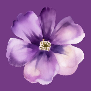 Bach Flowers Discovery Call – online (Free)
