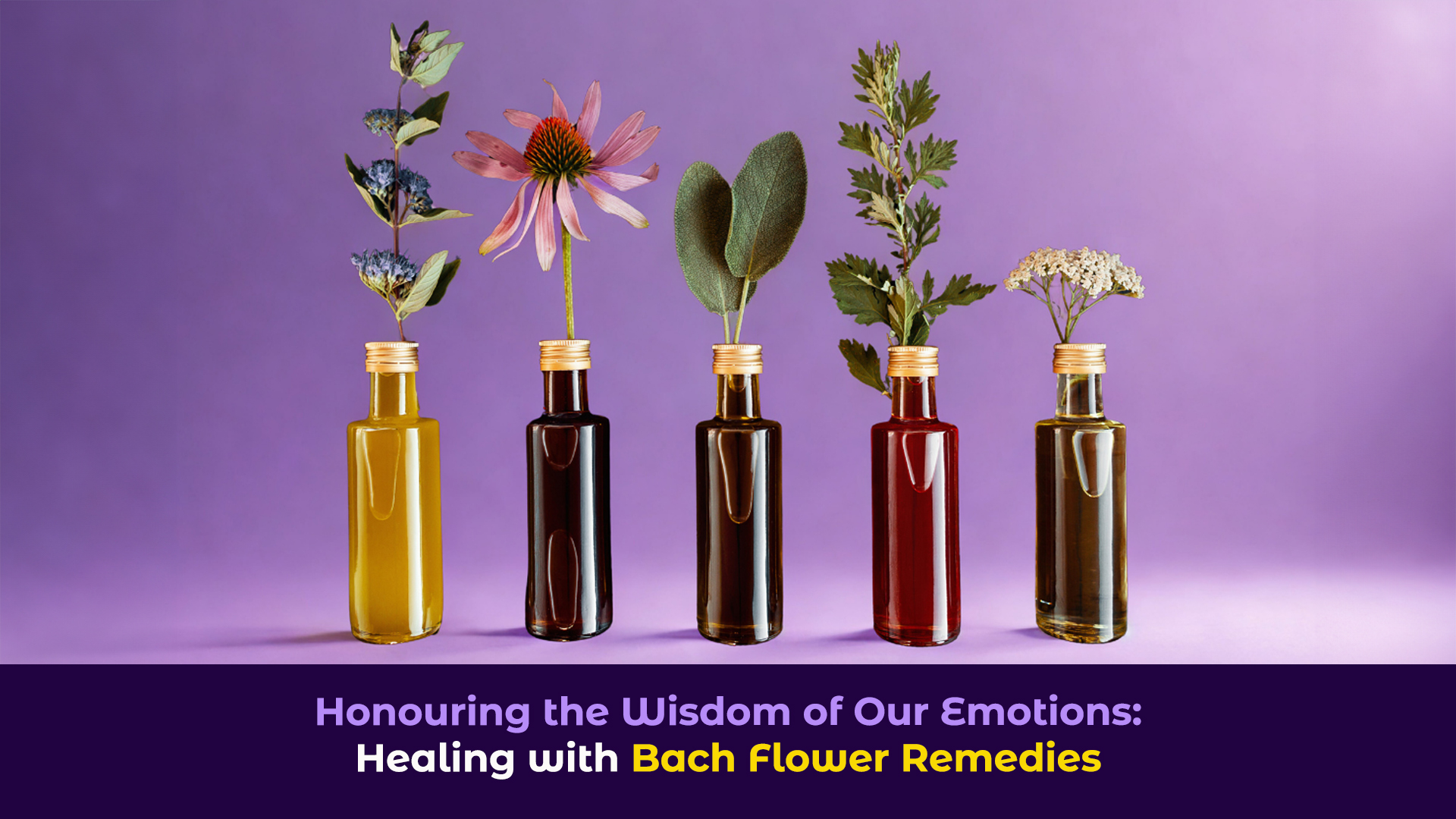 A picture of small flowers in little bottles with the title "Honouring the Wisdom of Our Emotions: Healing with Bach Flower Remedies"